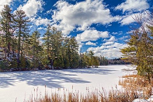 Frozen Loon Lake_34379.jpg - Photographed at Bedford Mills, Ontario, Canada.